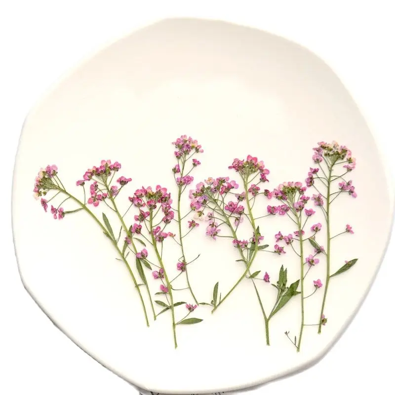 

2022 New Sweet Alyssum Decorative Flowers For Home Decoration Free Shipment 1 lot / 120 pcs