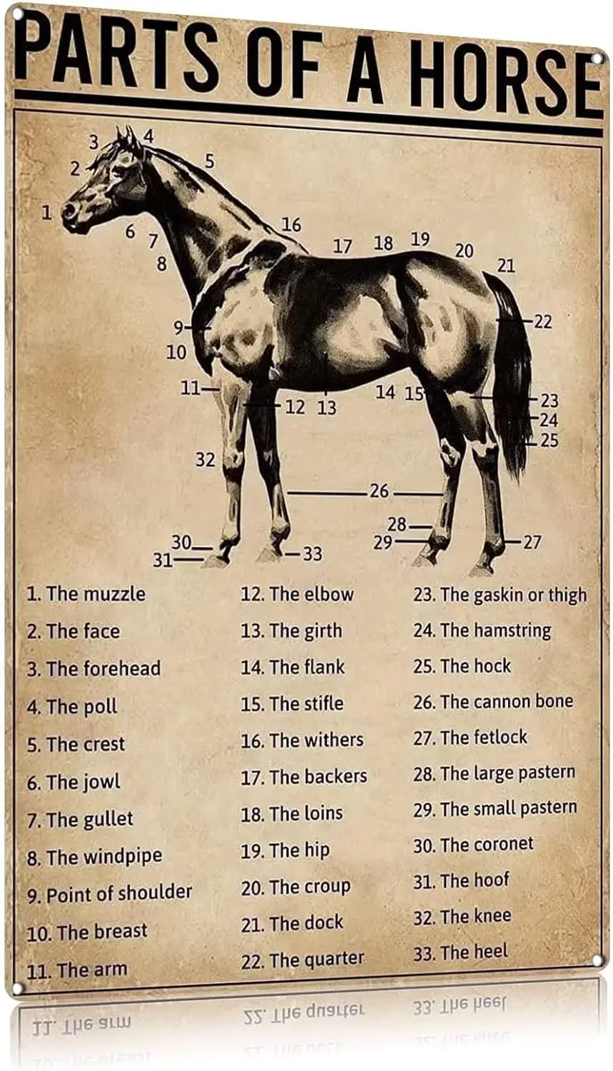 Части лошади плаката ретро металлическая жестяная вывеска винтажная