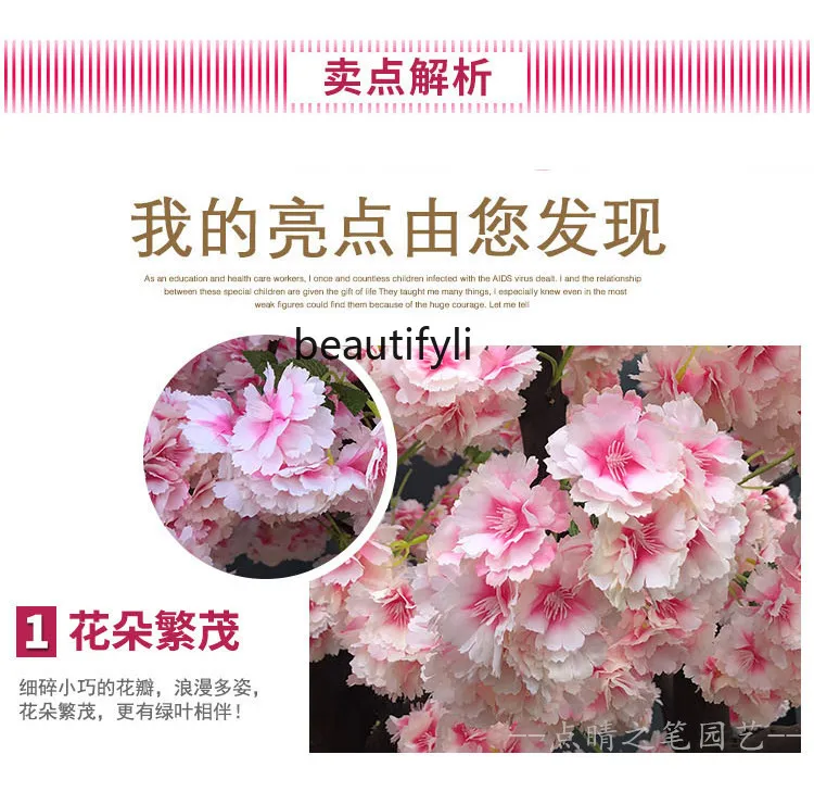 Симуляция вишни цветение большое растение персиковое дерево Крытая гостиная