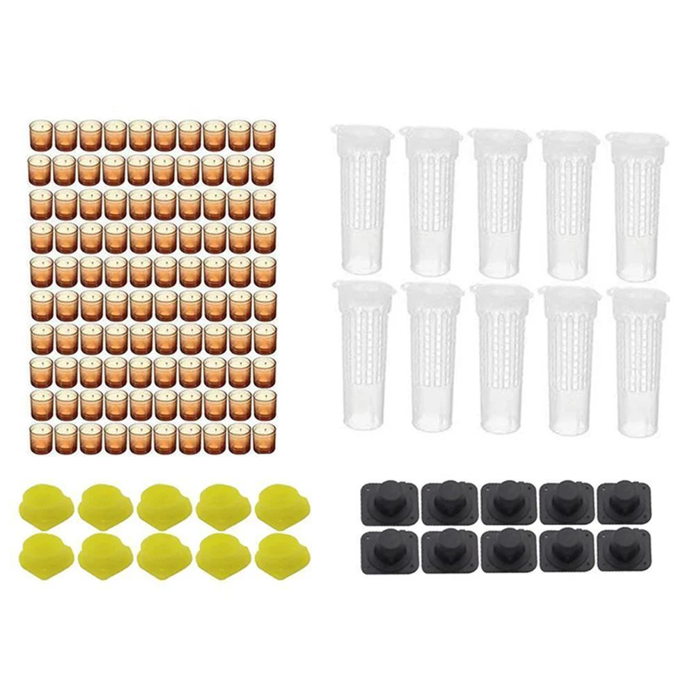 

Bees Tools Roller Cage King Queen Rearing Cell Cups Kit System Beekeeping Equipment Catcher Box Nicot Complete Apicultura Tool