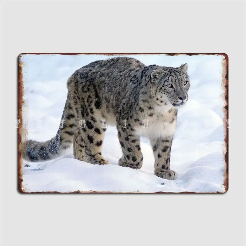 Wandering Snow Leopard Metal Sign Club Home Club Bar Retro Painting Décor Tin Sign Poster