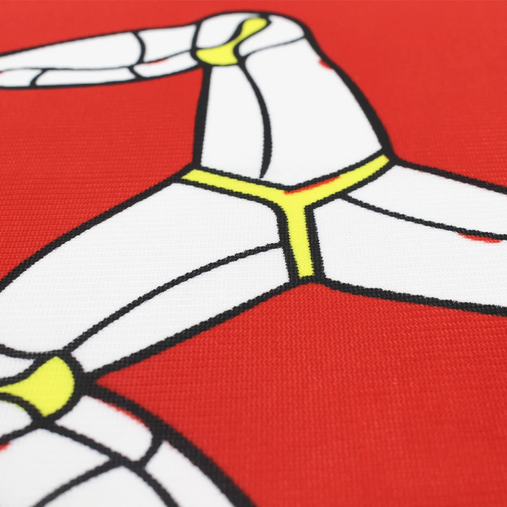 ELECTION 90x150cm European Pan Celtic Nations Flag Ireland Scotland Wales Brittany | Flags