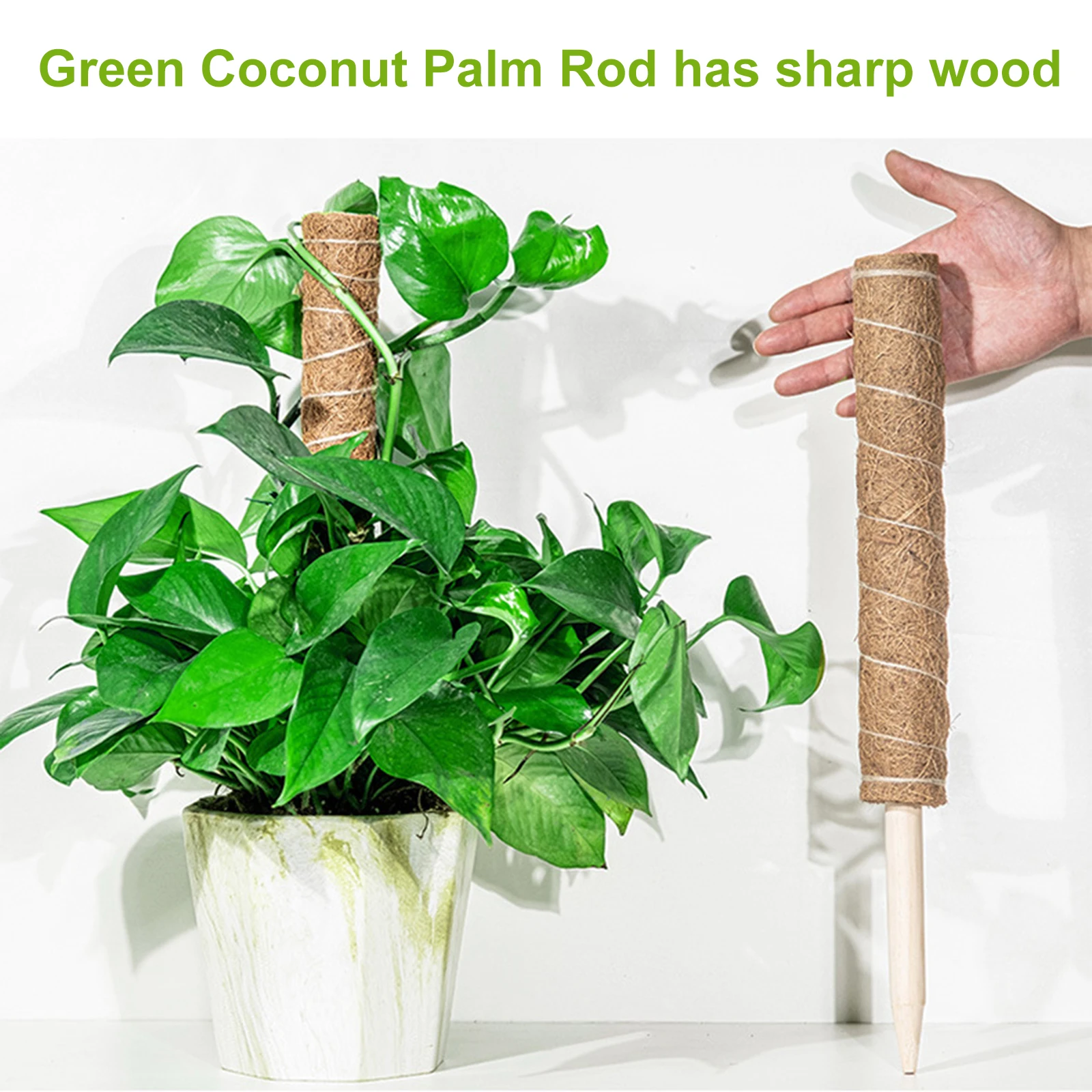 

Home Support Coir Totem Pole Climbing Plants Stick Office Extension Coconut Fiber Creeper Trelli Frame Maintain Moisture Balcony