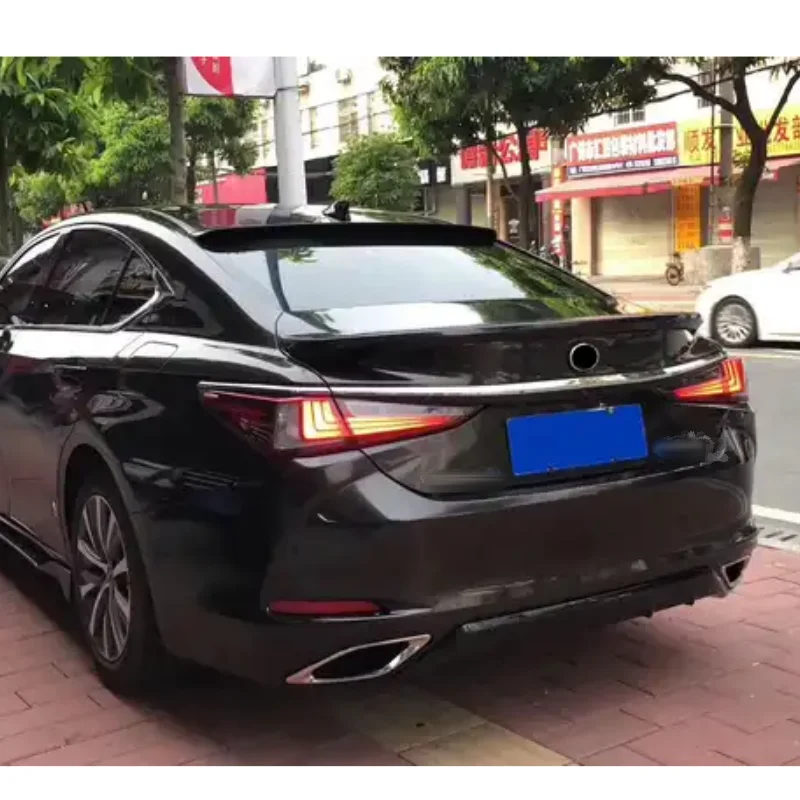 Фото Комплект спортивного стезора и traseira, класс для 2018-2019 es300 es350 №5
