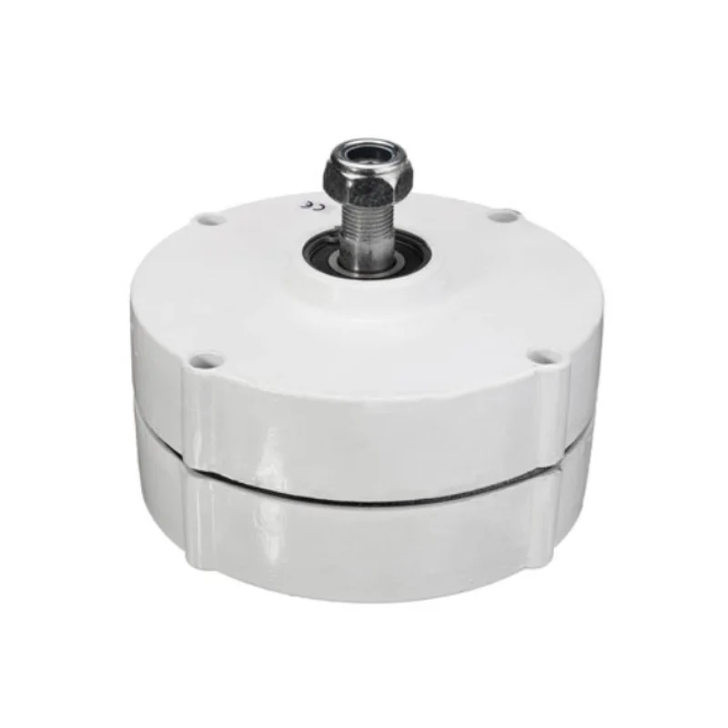 

Dynamo Generator 100W 200W 12V 24V 3 Phase Gearless Permanent Magnet AC Alternators For Wind Turbine