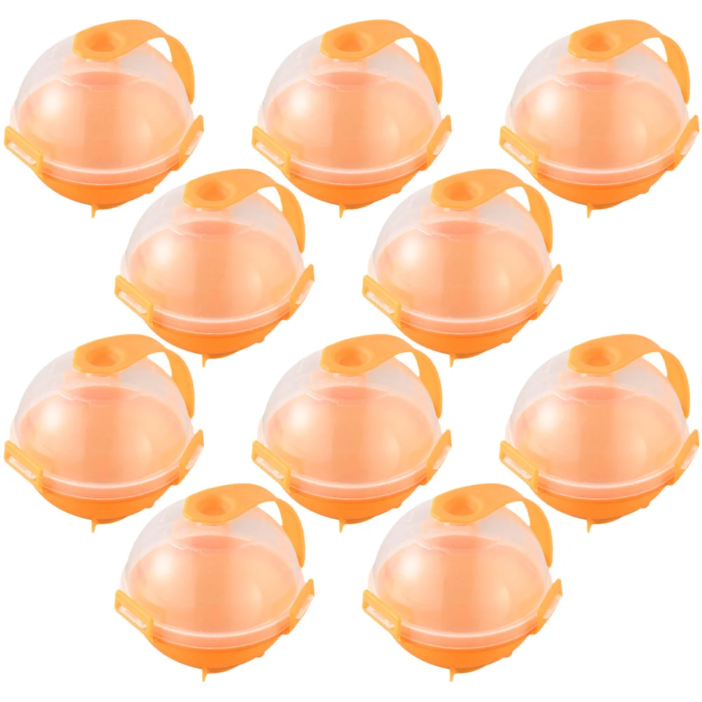 

10Pcs Ice Ball Mould Reusable Sphere Shapes Ice Ball Maker Mould for Party Festive