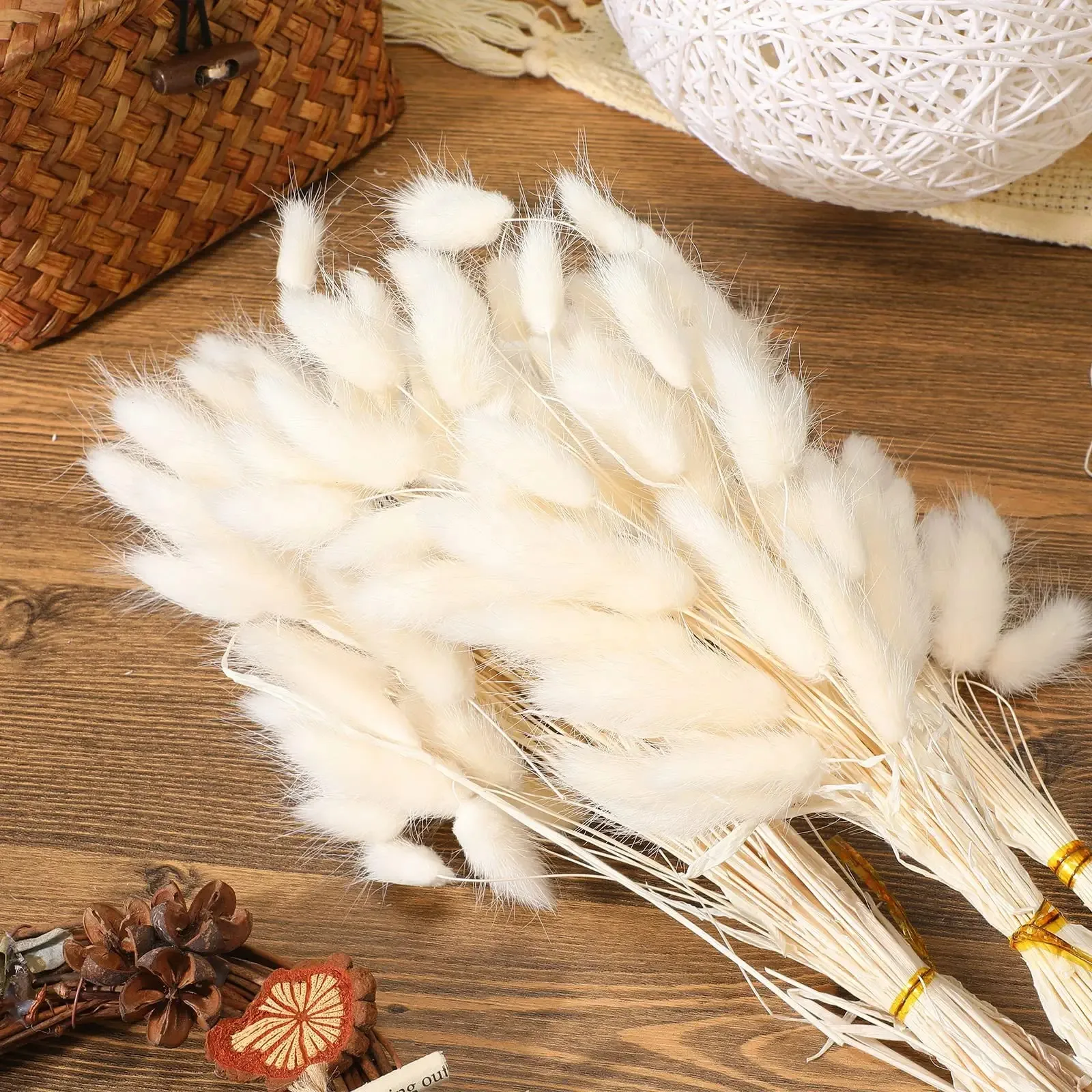 

Boho Dried Bunny Tail Grass Flowers for Vase Dry Rabbit Wedding Decor Dried Lagurus Ovatus for Flower Arrangements Wedding Home