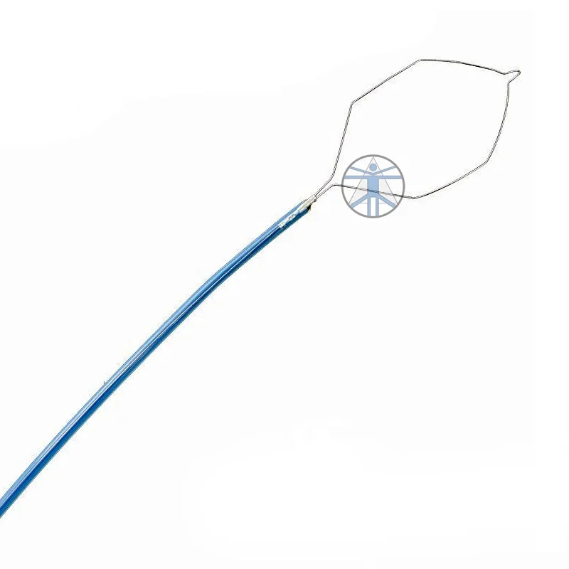 Одноразовый инструмент Электронная полипектомия snare