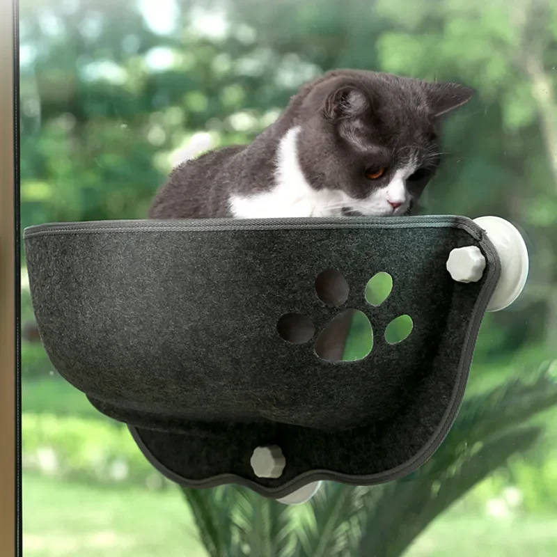 

Cat Window Hammock With Cushion Pet Cats Hanging Bed Sleeping With Strong Suction Cups Pet Kitty Sunny Window Nest