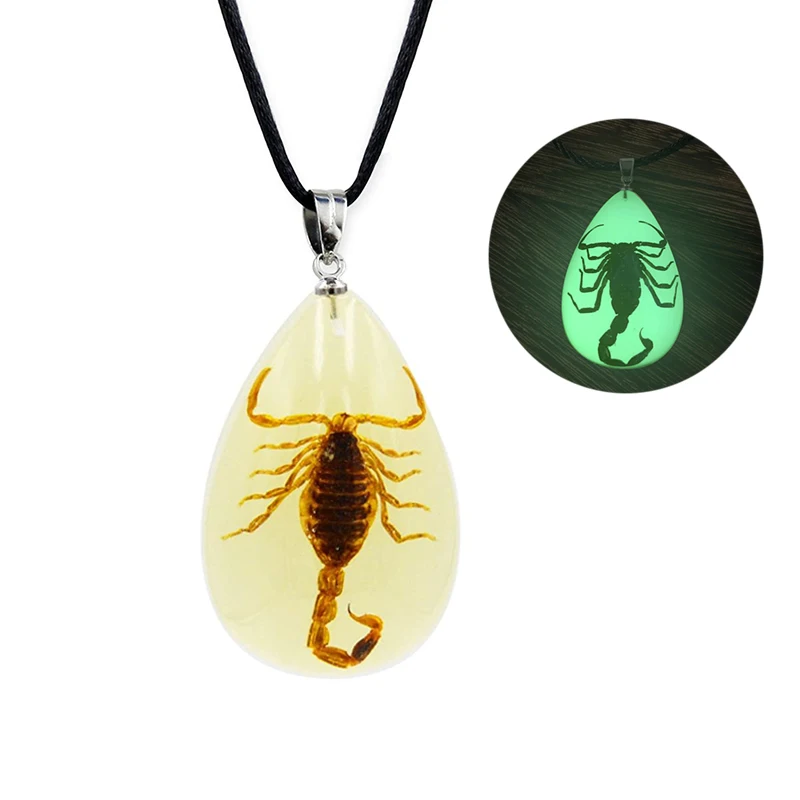 Luminous Real Scorpion Necklace Vintage Resin Insect Beetle Spider Amber Pendant Rope Chain Necklaces Glow In Dark Jewelry images - 6