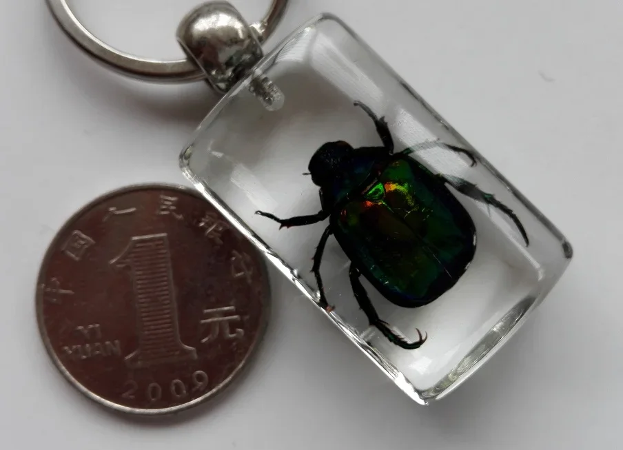 YQTDMY 10 шт. брелок для ключей в виде скорпиона насекомых