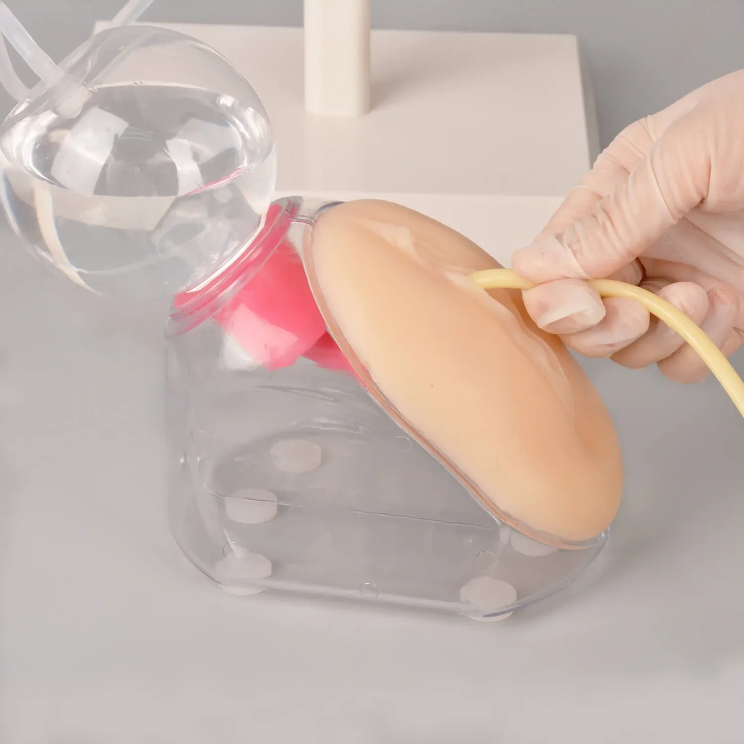 Учебный комплект для женской катетеризации ультраassist