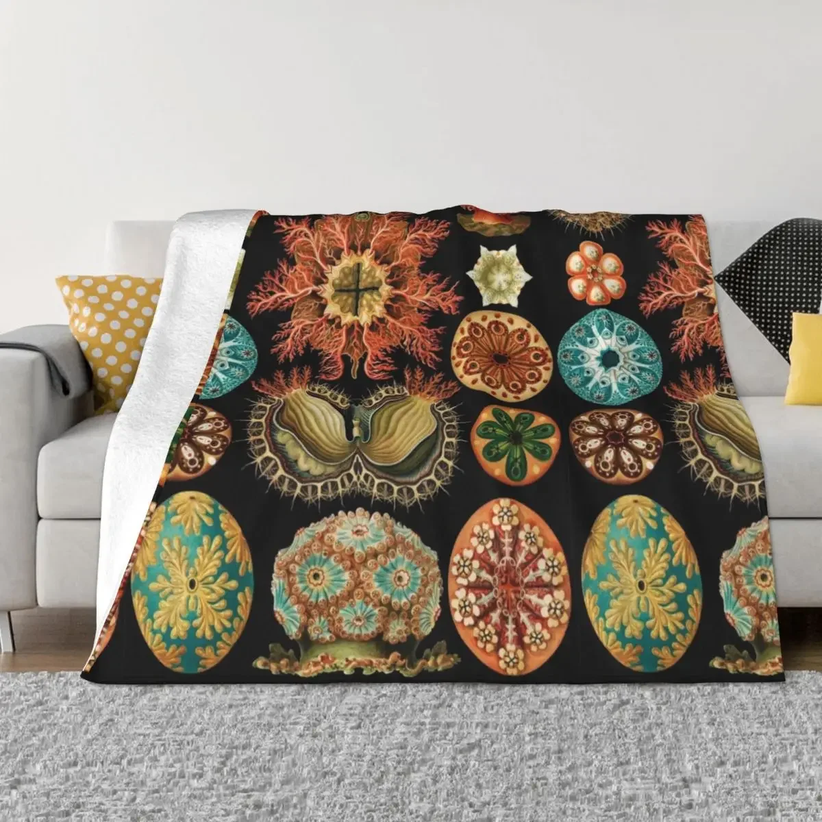 Асцитацея-морские сквирты броска одеяло среда мягкие кровати утяжеленная