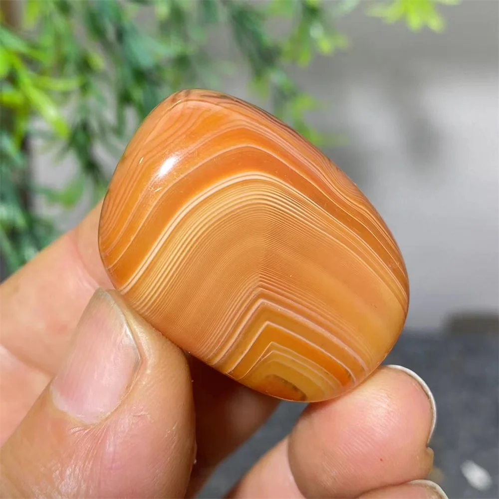 

Сардоникс красный агат DriB