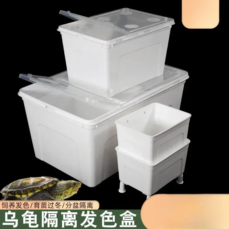 Коробка для кормления рептилий прозрачная черепаха инкубационные контейнеры
