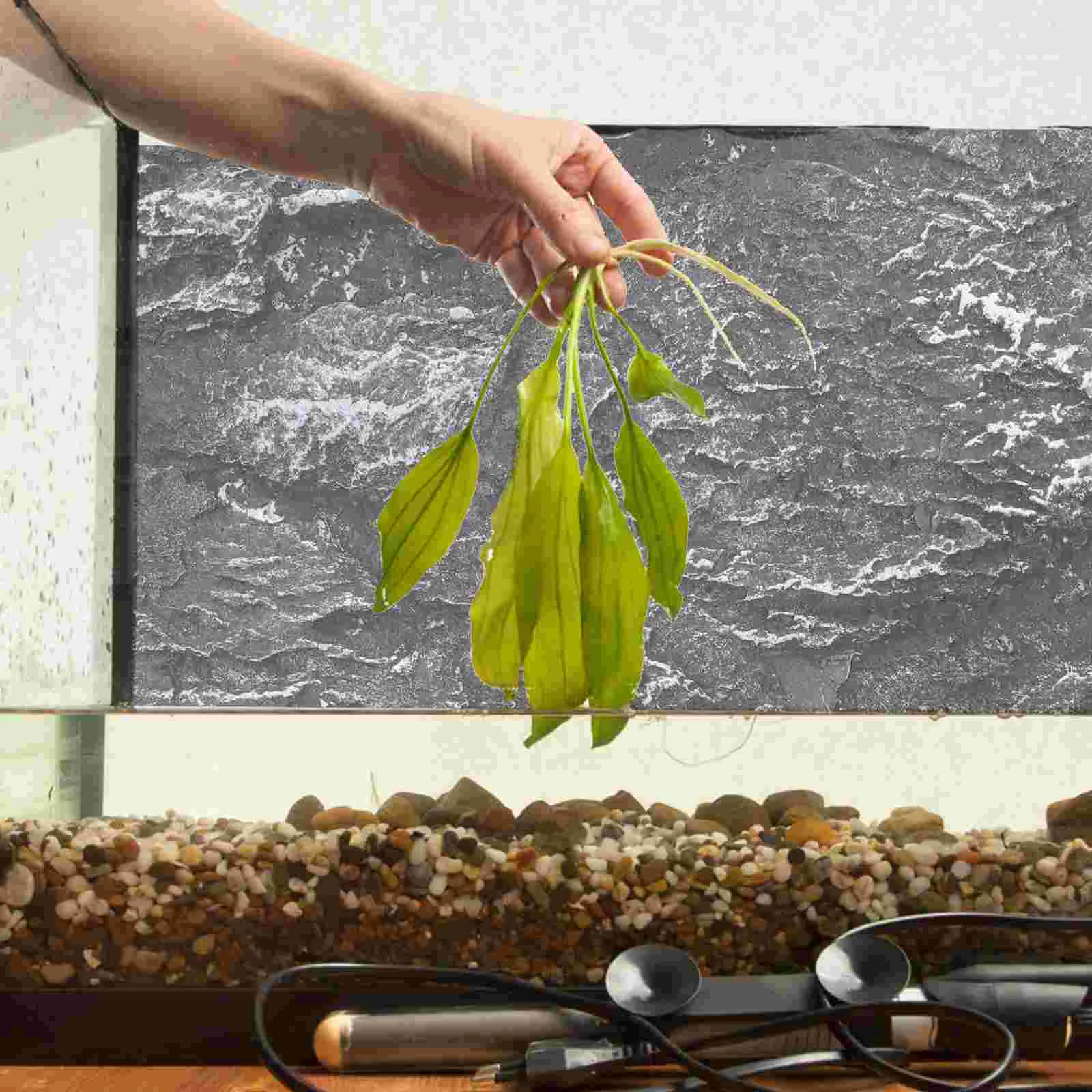 Фон рок-аквариум аксессуары змея рептилия доски террариум пользовательские обои