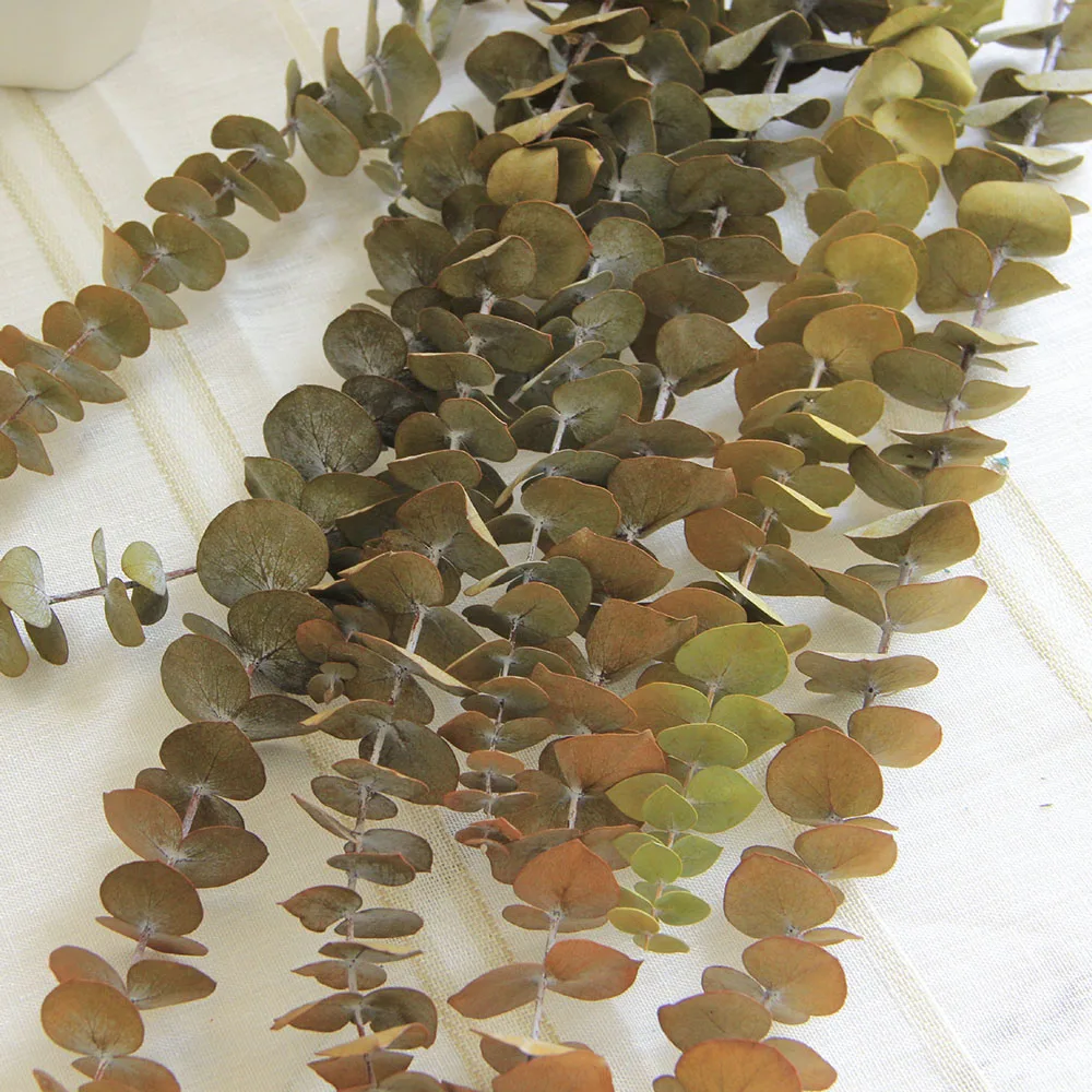 Букет сушеных цветов эвкалипта YN HI FLOWER ENJOY YOUR LIFE