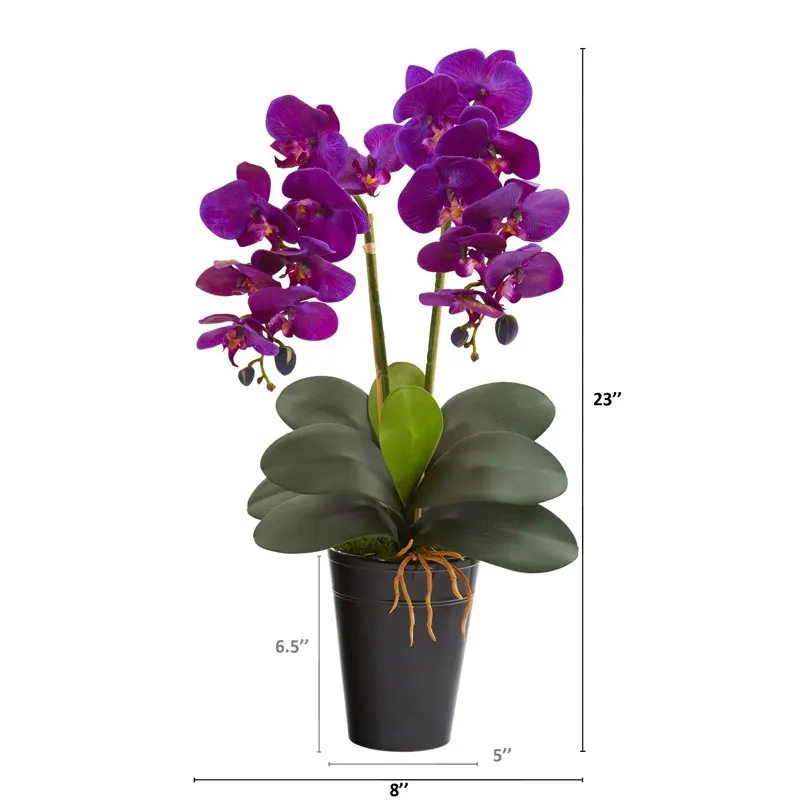 

Beautiful, Colorful Beautiful, Colorful Double Phalaenopsis Orchid Artificial Arrangement in Vase – eye-catching decorative pi