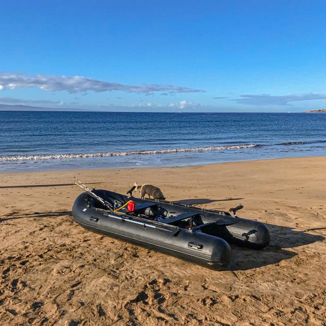 Надувная рыболовная лодка от китайского производителя Tobin Grumman Sport Rescue Boat с алюминиевыми веслами (art.: 3920dc40bf36d) - 3920dc40bf36d