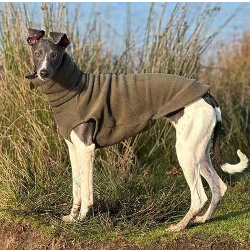 

Winter Fleece High Neck Soft Italian Little Greyhound Whipple Dog Clothing Bellington Pastoral Spotted Dog Pet Clothing