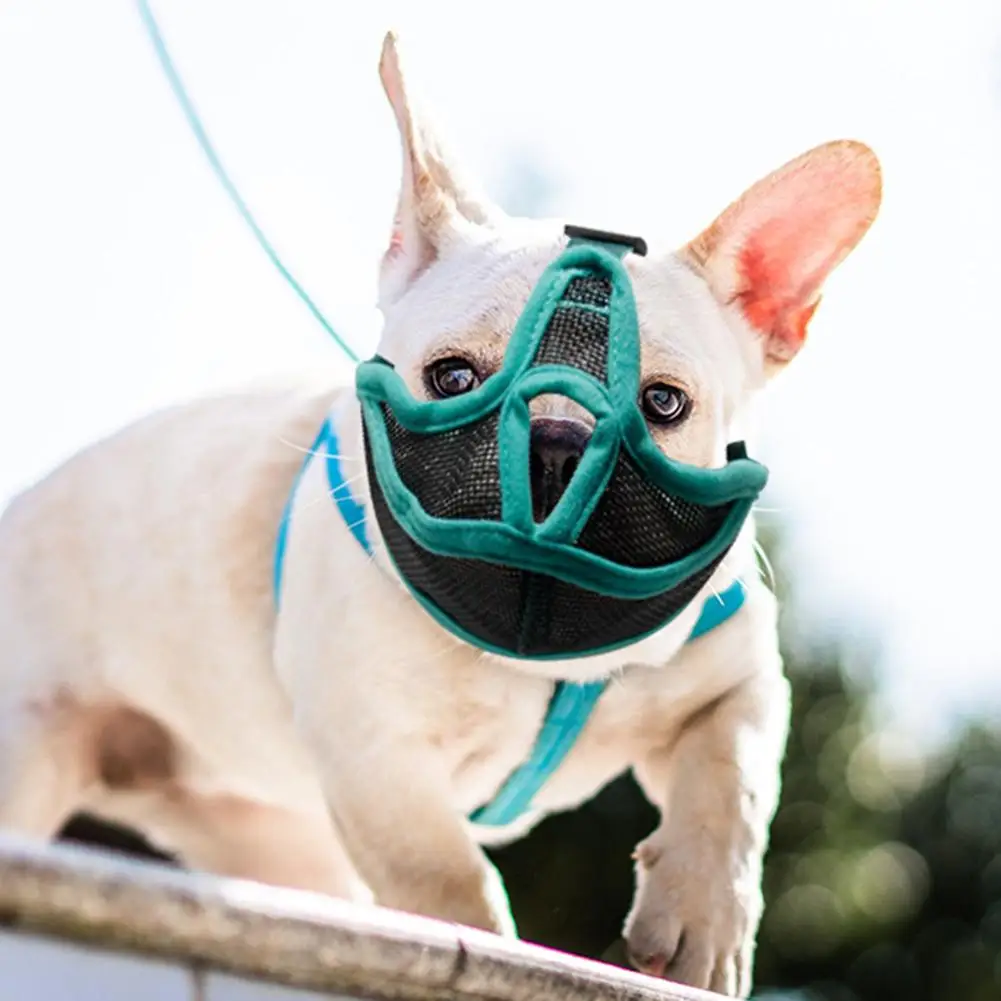 

Сетчатая ткань для рта для домашних животных, дышащая, против лая, против укусов, аксессуары для домашних животных