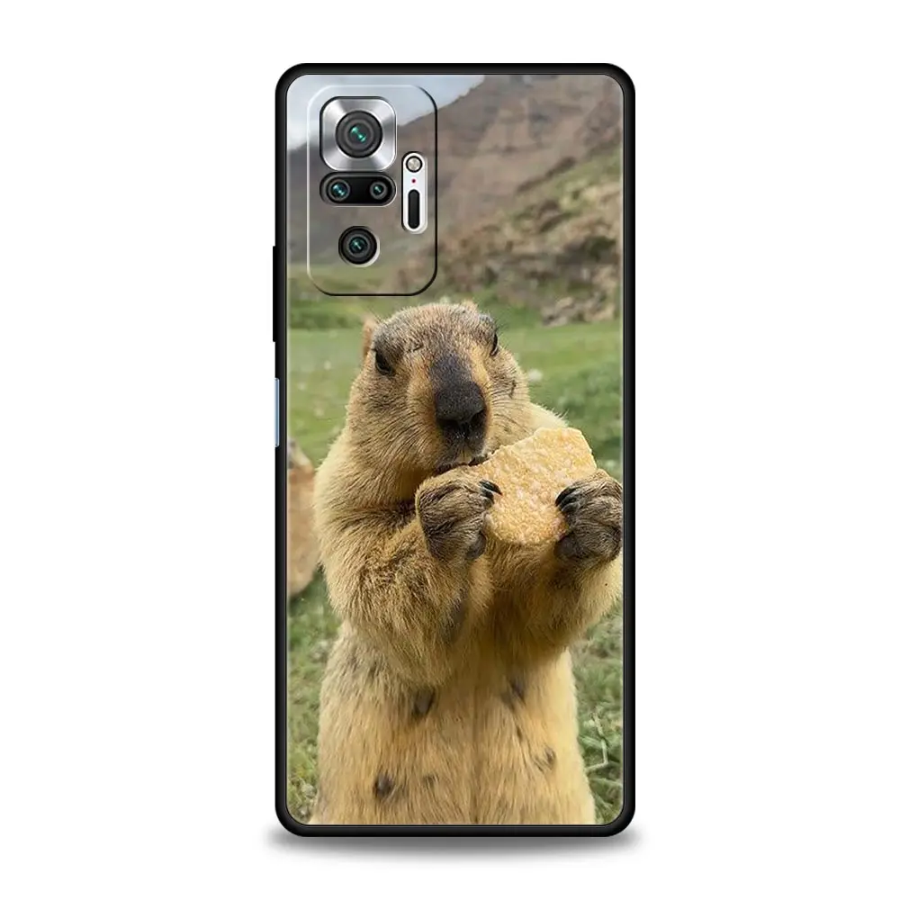 Чехол для телефона Xiaomi Redmi Note 14 13 12 5G 11 10 Pro Plus 4G 9S 9 14C 13C 12C 10C 9C 9A Мягкий чехол из ТПУ