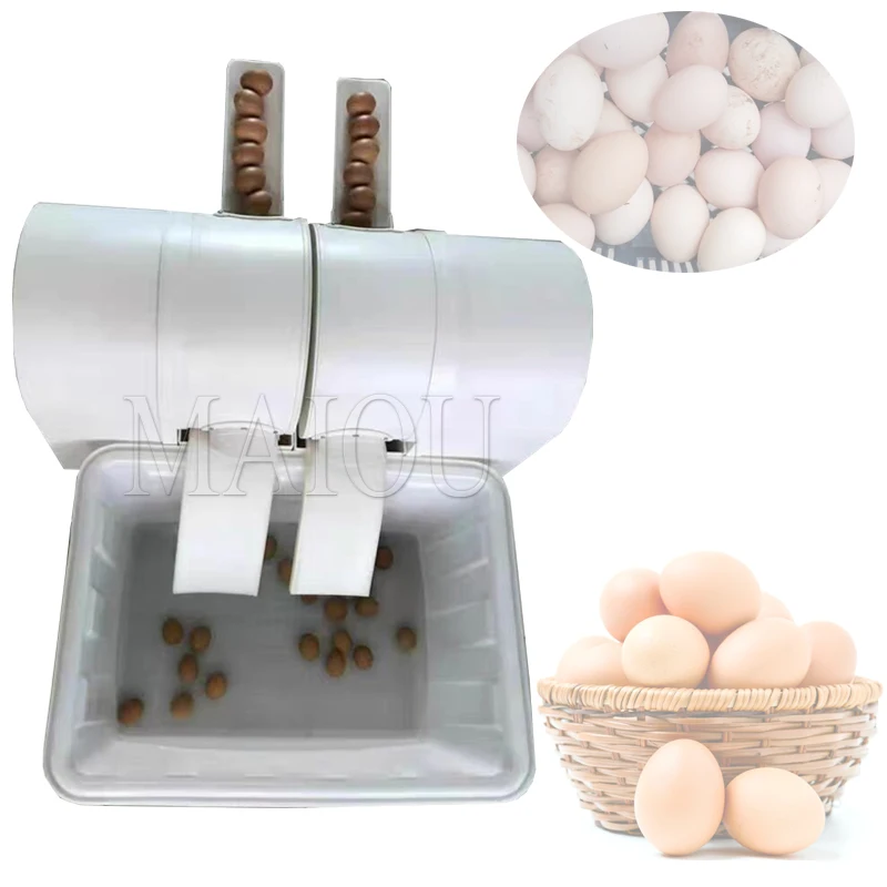 

Electric Egg Washing Machine Chicken Duck Goose Egg Washer 2400 Pcs/h Poultry Farm Equipment Cleaner Wash 220V
