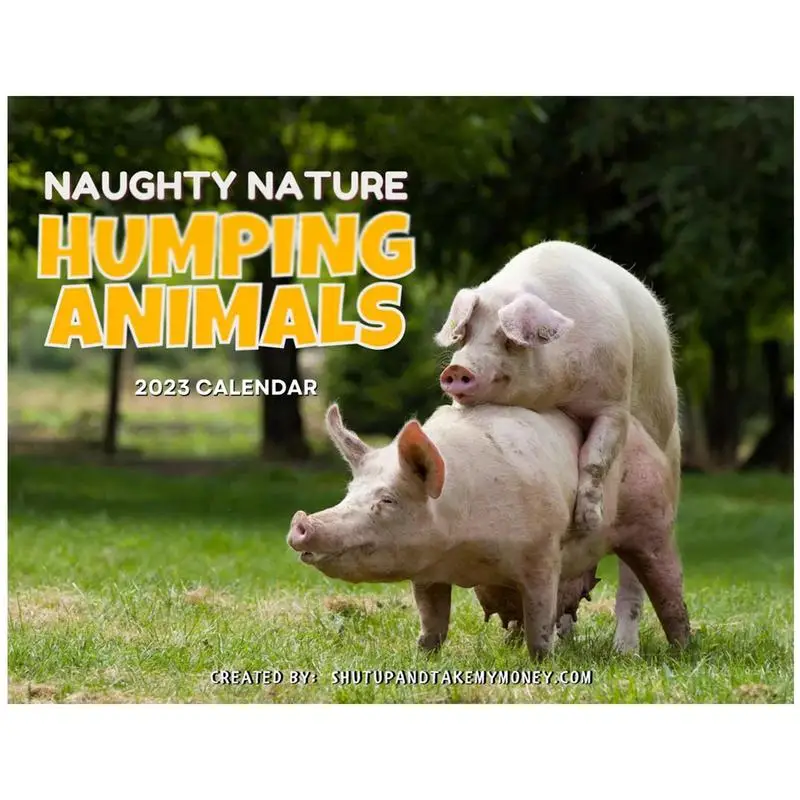 

Календарь 2023, Забавный Ежедневник с животными, планировщик, лист для дел, подвесной годовой, еженедельный, годовой планировщик, Органайзер-планировщик, органайзер для офиса