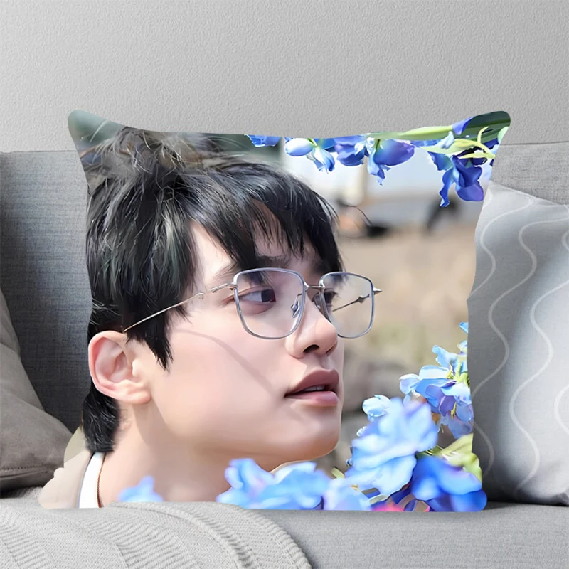 Квадратный Чехол Для Подушки Декоративная Наволочка Из Полиэстера Гостиной