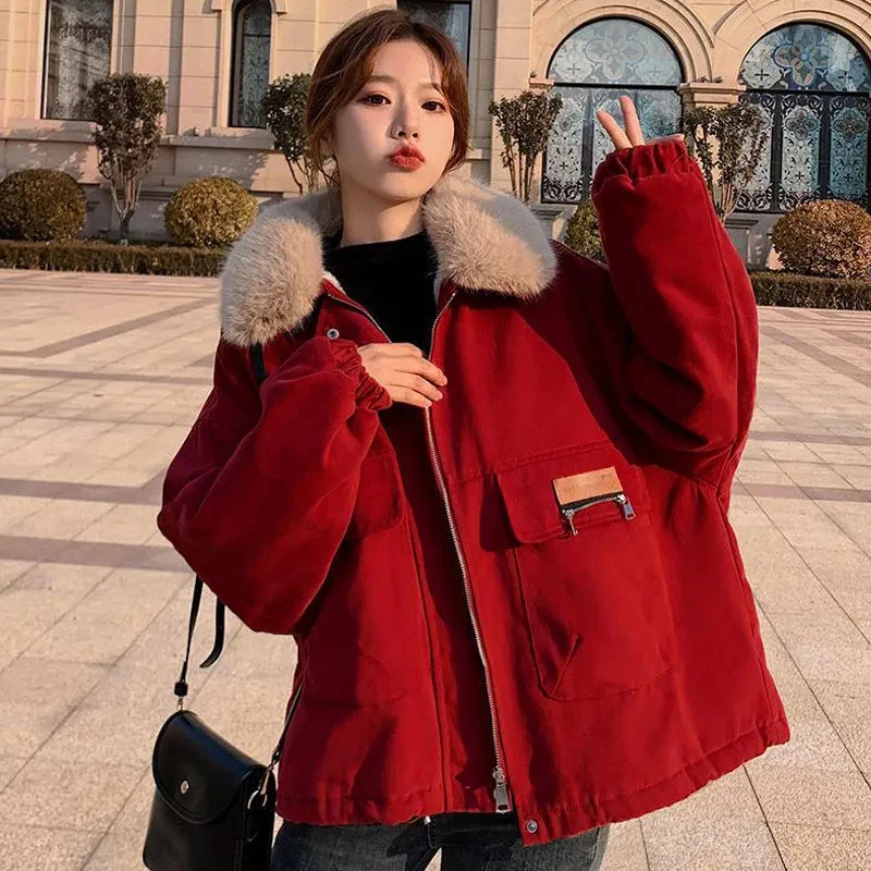 

Парка женская однотонная на молнии, теплая свободная уличная одежда с бархатным утеплителем, модная зимняя одежда с карманами