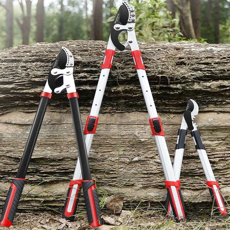 Фото LS дозвоateur Long En Acier SK5 Pour Arbres Fruitiers, Ciseaux De Jardin, Outils À Main №2