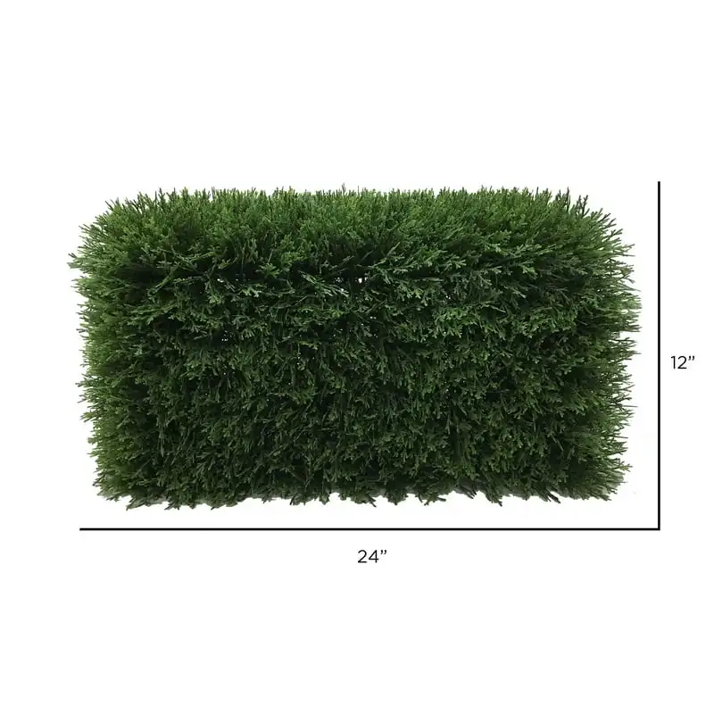 

24" Green Cedar Hedge.