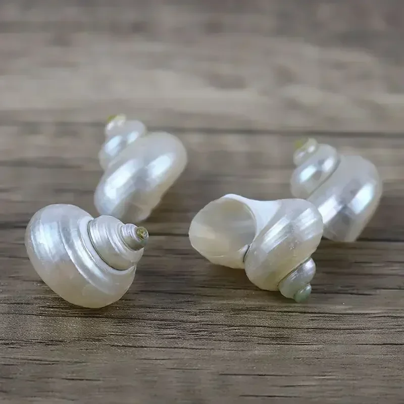 Очищенная маленькая белая Улитка натуральный ракушка декоративная сменная