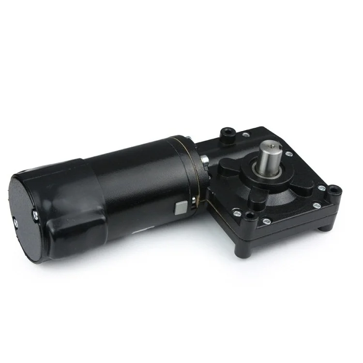 

12V High Torque electric car motor 20Nm with worm reducer