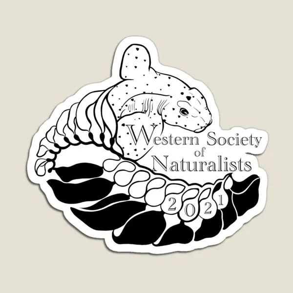 

2021 Wsn Logo Magnet for Fridge Organizer Toy Magnetic Stickers Kids Cute Home Baby Refrigerator Holder Decor Colorful Funny