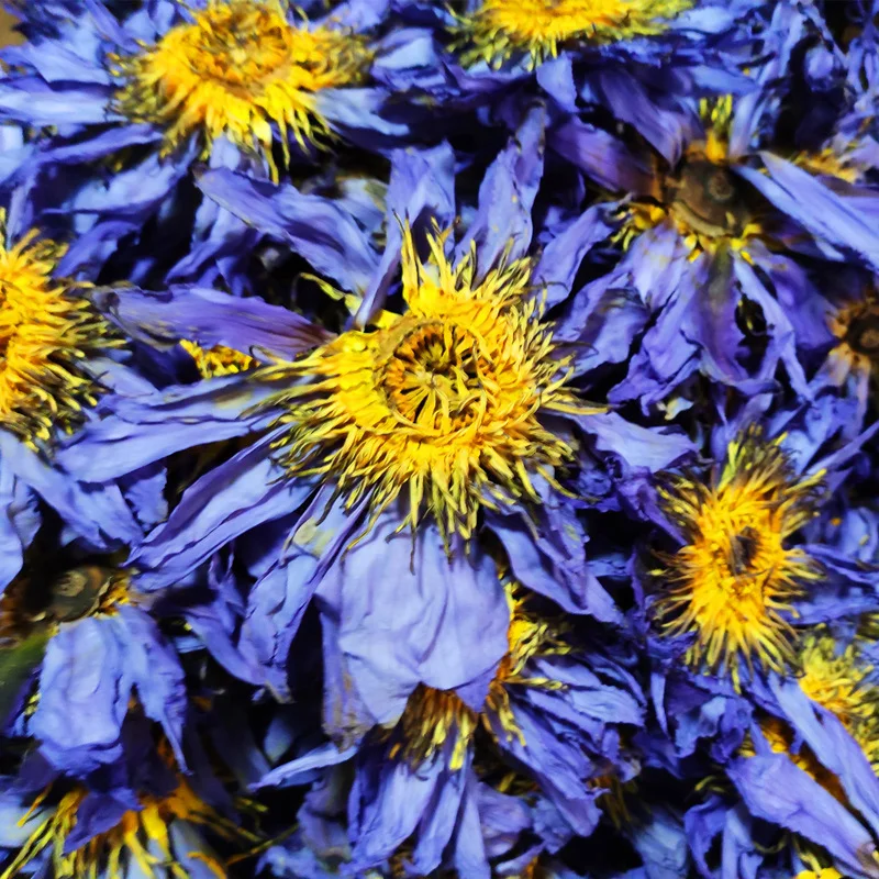 

Органический голубой Лотос, сушеный весь Цветущий цветок, Nymphaea Caerulea