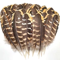 50 100pcs lot pheasant feathers christmas for crafts hair jewelry making plume decoration center pieces decorations accessories