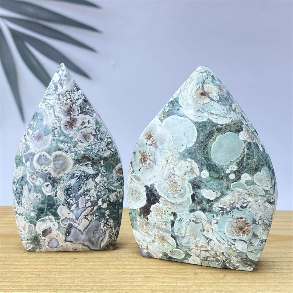 Натуральные зеленые цветы вишни