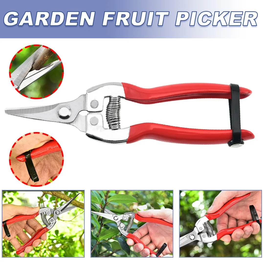 

1pc Pruning Shear Durable Stainless Steel Branch Shears Tool Practical Anti-slip Handle Scissor Garden Accessories