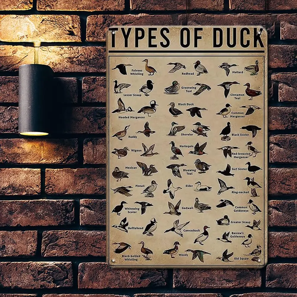 Duck Knowledge Huntng Decor Metl Плакат - Типы пород утки Vntge Tn Sgn 12x8 nches Retro c
