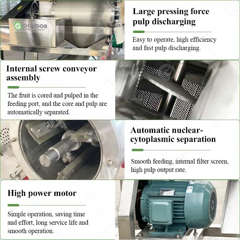 Томатное пюре Гадбулдора Де Фруктовая пульпер Процесс сока манго хурма Варенье