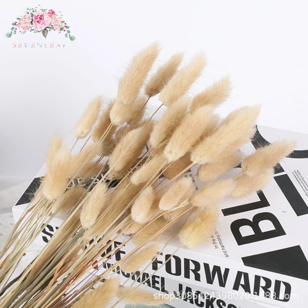

100pcs Fluffy Rabbit Tail Grass Dried Flowers Bouquet Arrangement Natural Bunny Tails Boho Wedding Decoration Nordic Home Decor