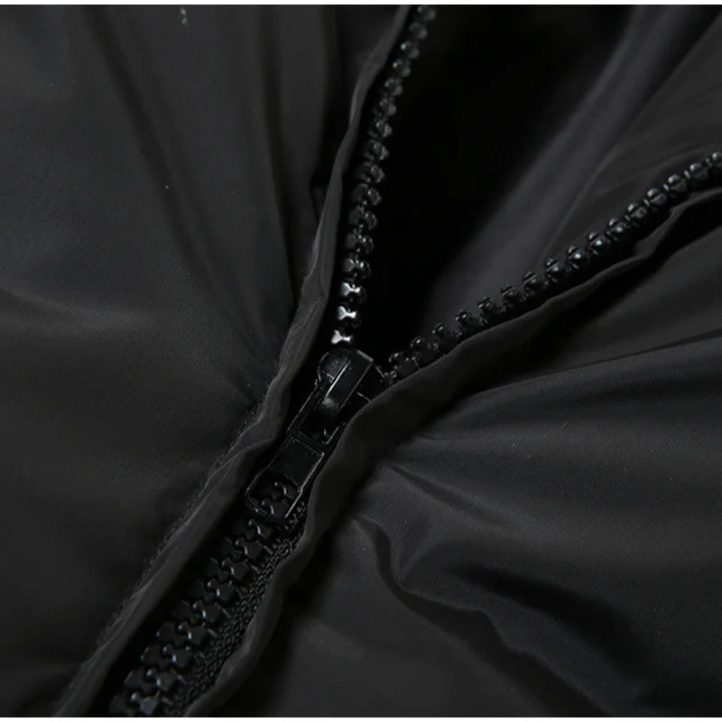 2022 Europe and The United States Autumn and Winter New Stand-up Collar Cotton Suit Women's Short Down Cotton Suit Warm Coat Top