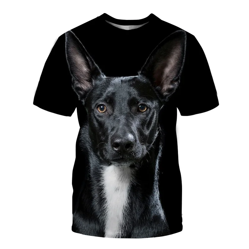 

2022 New Men's and Women's 3D Animal Dog Print T-shirt Hip-hop T-shirt Cat Streetwear Short-sleeved T-shirt Casual O-neck Top