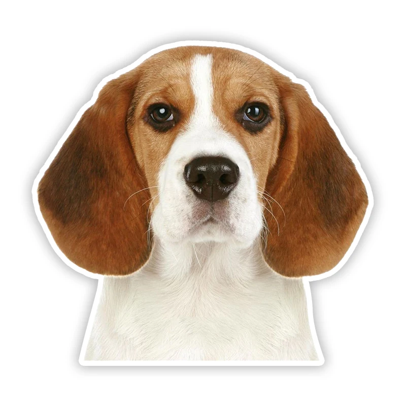 

11347# Various Sizes Removable Decal Beagle Dog Animal Car Sticker Waterproof Accessories on Bumper Rear Window Laptop