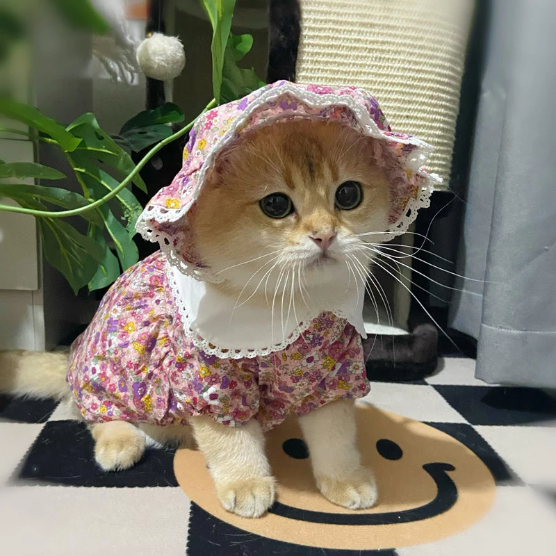 

Милая шапка с цветочным рисунком для собак, одежда для кошек, летняя одежда для собак, костюм чихуахуа, йоркширского померанского Ших, Tzu, мал...