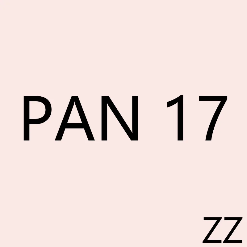 

PAN ZZ 17