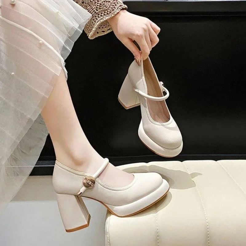 Женские туфли во французском винтажном стиле Туфли Мэри на толстом каблуке