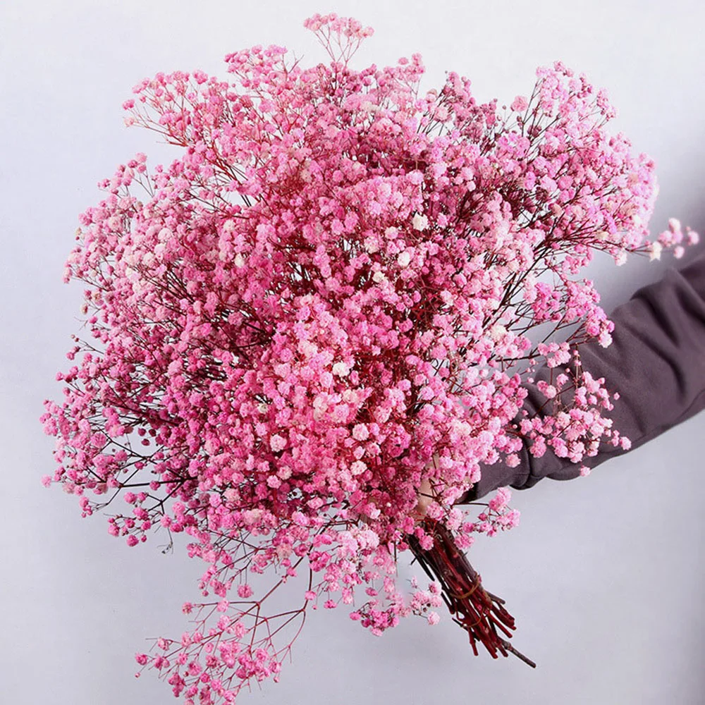 

Сушеные цветы гипсофилы YN HI FLOWER ENJOY YOUR LIFE 80г