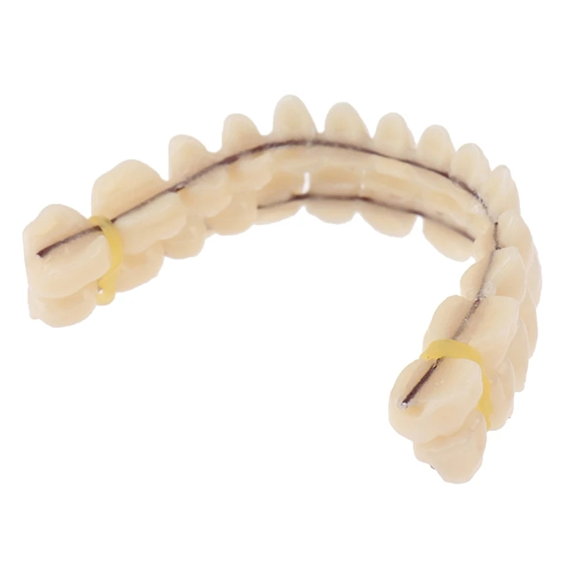 

Resin Teeth Denture Upper Lower Shade Artificial Preformed Dentition Oral Care